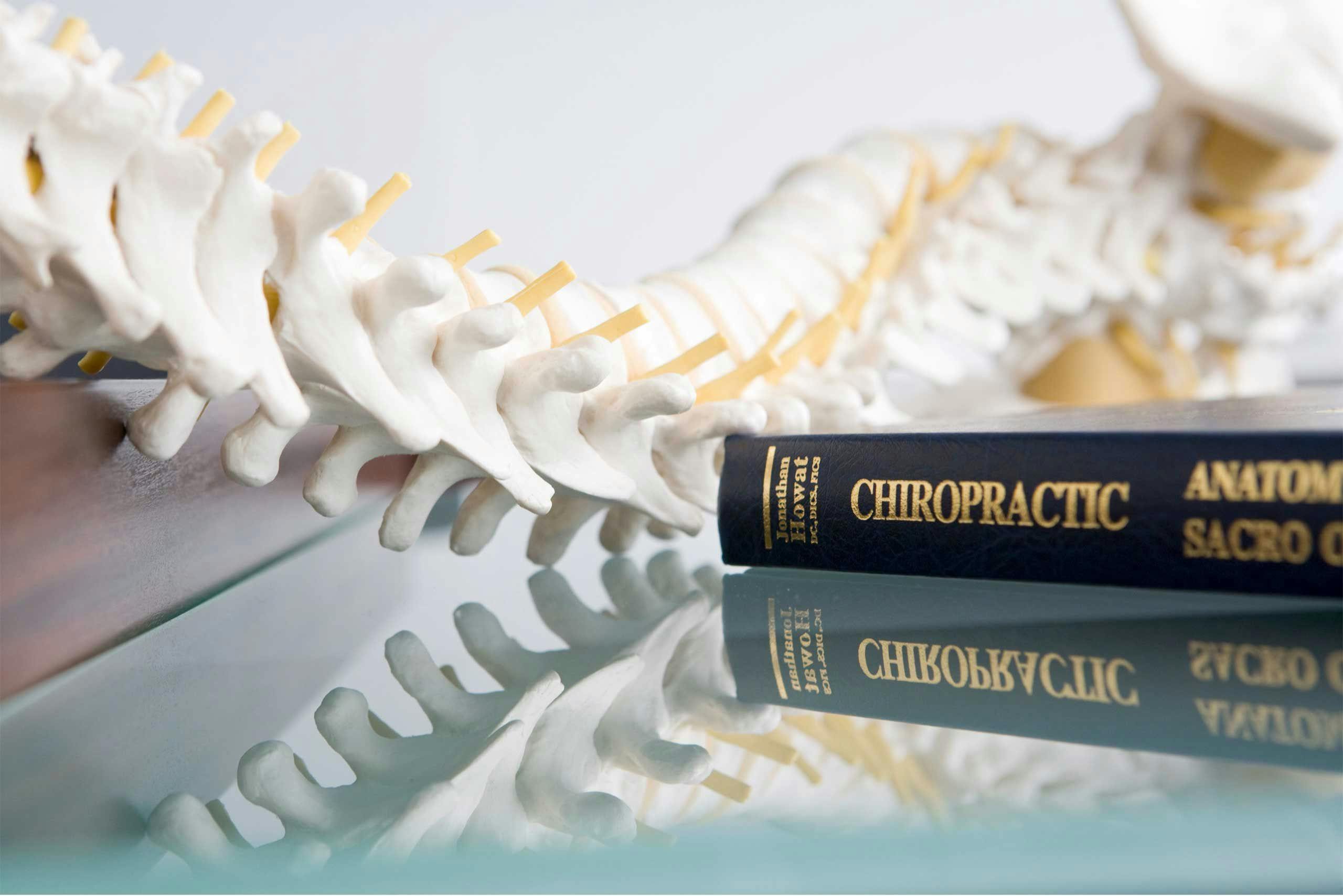 Bild einer Wirbelsäule und Buch über Chiropraktik