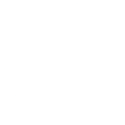 Icon showing something suggesting: Chiropraktik im Sport