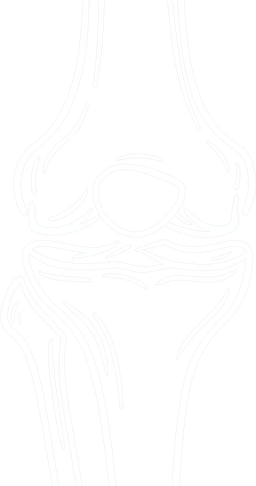 Gelenk Icon